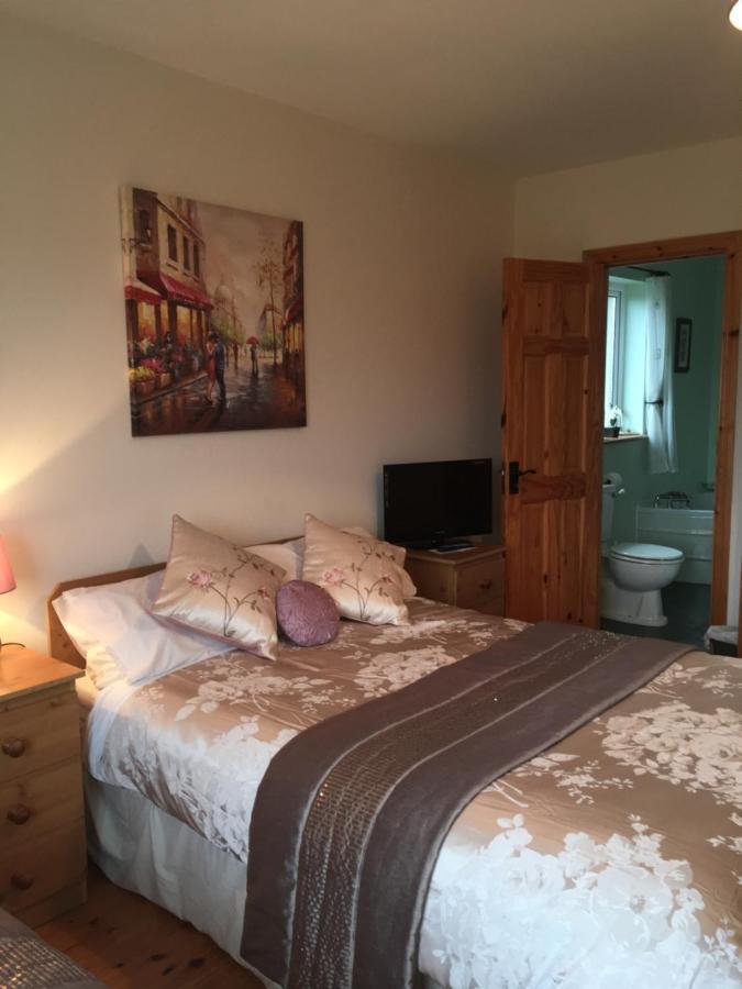Carrick House B&B Киллибегс Экстерьер фото