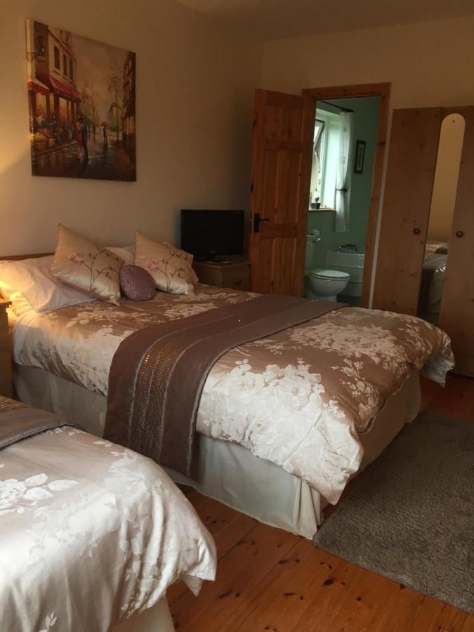 Carrick House B&B Киллибегс Экстерьер фото